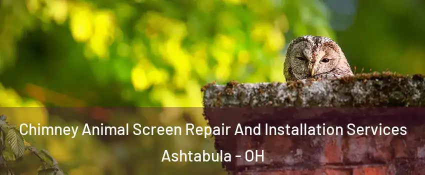  Chimney Animal Screen Repair And Installation Services Ashtabula - OH