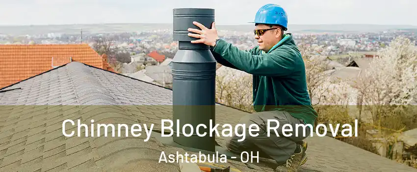  Chimney Blockage Removal Ashtabula - OH