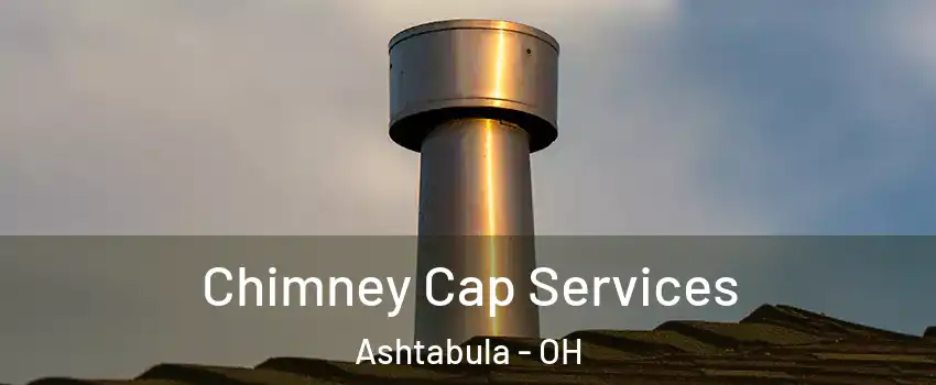  Chimney Cap Services Ashtabula - OH