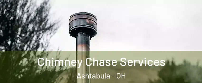  Chimney Chase Services Ashtabula - OH