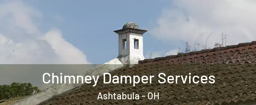  Chimney Damper Services Ashtabula - OH
