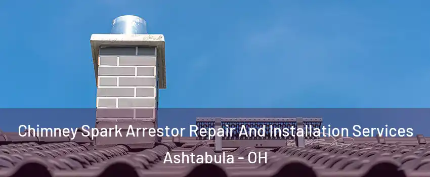  Chimney Spark Arrestor Repair And Installation Services Ashtabula - OH