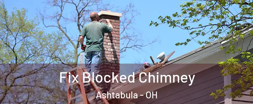  Fix Blocked Chimney Ashtabula - OH