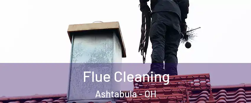  Flue Cleaning Ashtabula - OH