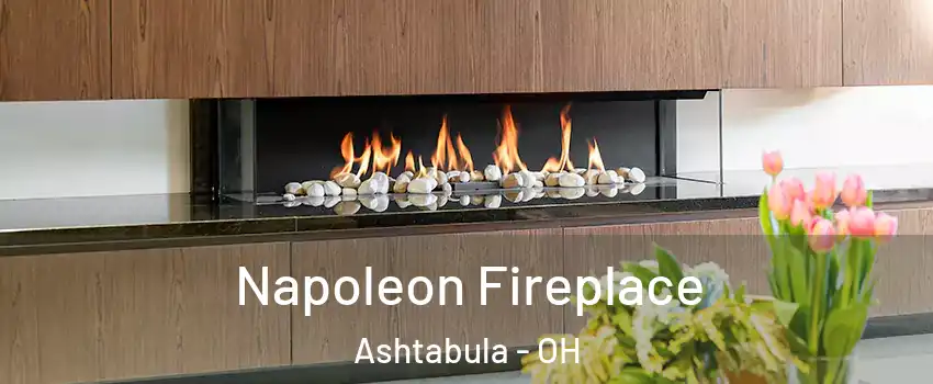 Napoleon Fireplace Ashtabula - OH